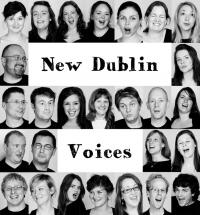 New Dublin Voices