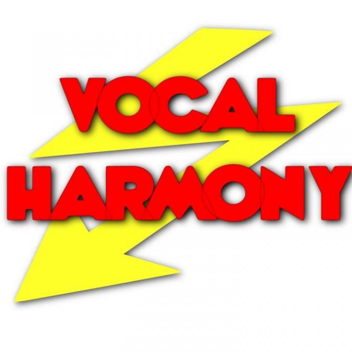 Vocal Harmony Llanelli