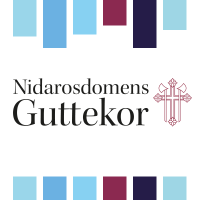 Nidarosdomens Guttekor