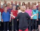 Making Waves (North Devon Community Choir)