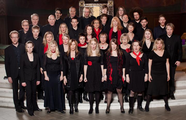 Vocal Art Ensemble of Sweden