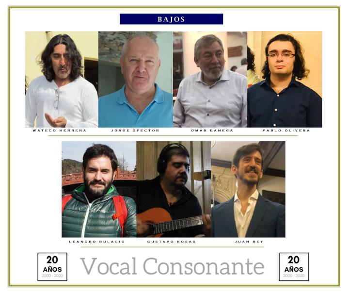 Vocal Consonante