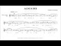 Agnus Dei - Anthony Sylvestre (feat. mezzo-soprano Lucile Verbizier)