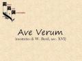 Vivae Vocis Concentus - Ave Verum