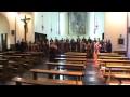 Zbor Svetega Nikolaja Litija: Colin Mawby - Ave Maria
