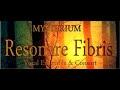 Resonare Fibris Vocal Ensemble & Consort: Magnificat RV 610