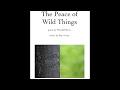 The Peace of Wild Things by Sean Ivory, poem by Wendell Berry