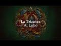 La Tricotea -Alonso Lobo