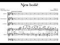 R. Brisotto: "Njen Božič" ("Her Christmas") for female choir and organ (or piano)