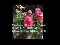 COSTELEY RONSARD Mignonne allons voir si la rose Ensemble Vocal PARA L'ELLES