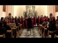 Vilo moja (Badurina / Juretić, arr. Veršić) - "M. Marulić" High School Mixed Choir