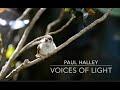 'Voices of Light'