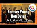 Forever Young - Bob Dylan - A Cappella Cover | Cape Town Youth Choir