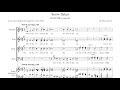 Snow-flakes - Jan Wilke (score video)