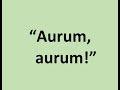 David Rain: "Aurum, aurum!"  (sung by Matthew Curtis)