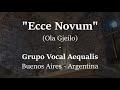 Ecce Novum - Ola Gjeilo
