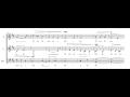 R.Brisotto: "Mentre il silenzio" (Contemporary choral music)